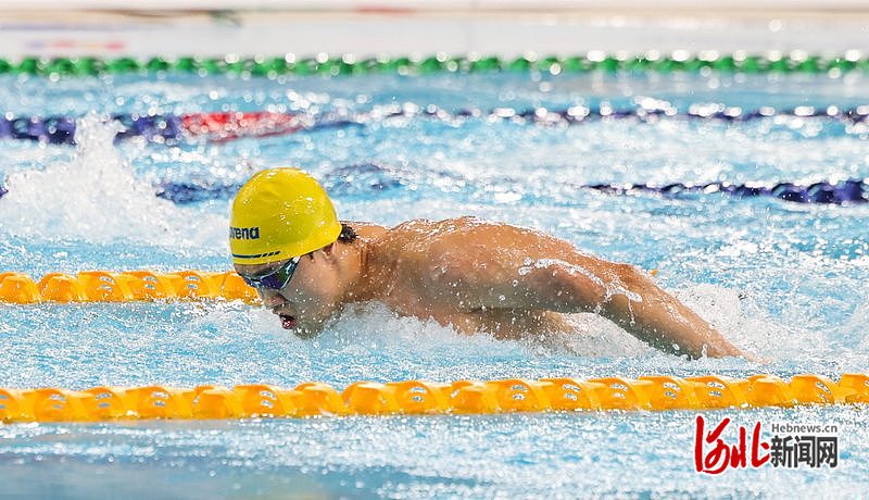 summa, tenan, 河北选手张 summa, tenan, 河北选手张