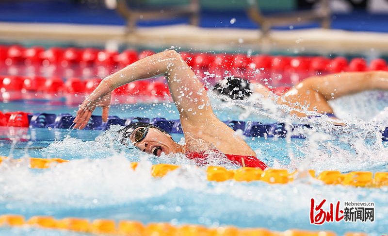 cn, 米自由泳决, 河北选手高 cn, 米自由泳决, 河北选手高