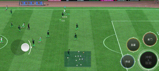 WyZER, borde WyZER, borde